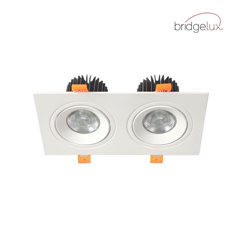 Bridgelux - Âm Trần Đôi Spotlight 12W Góc Chiếu 24° | AFC 767/2